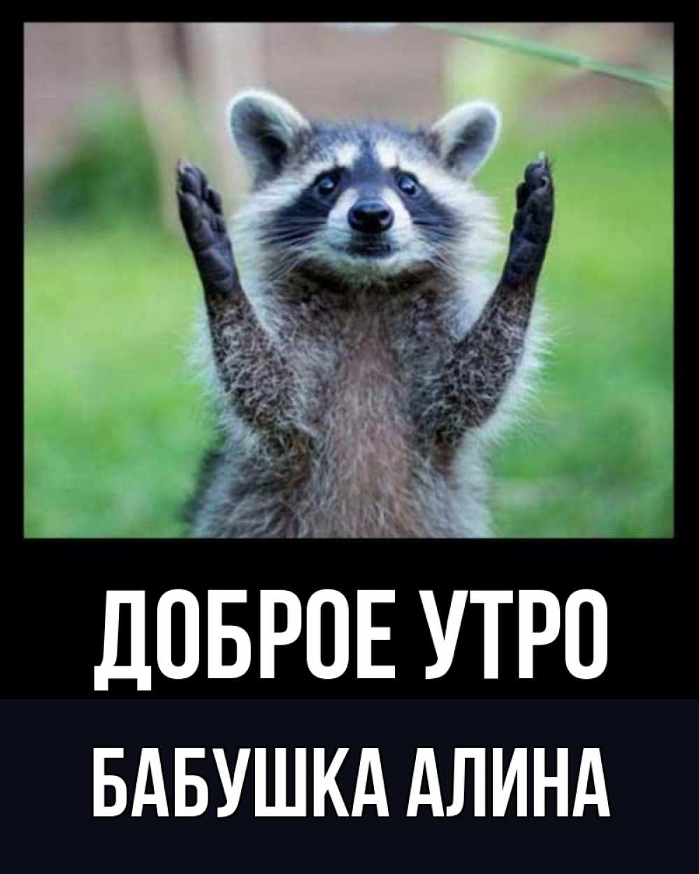 Открытка на каждый день с именем, Бабушка-Алина Доброе утро хорошее настроение утречком Прикольная открытка с пожеланием онлайн скачать бесплатно 