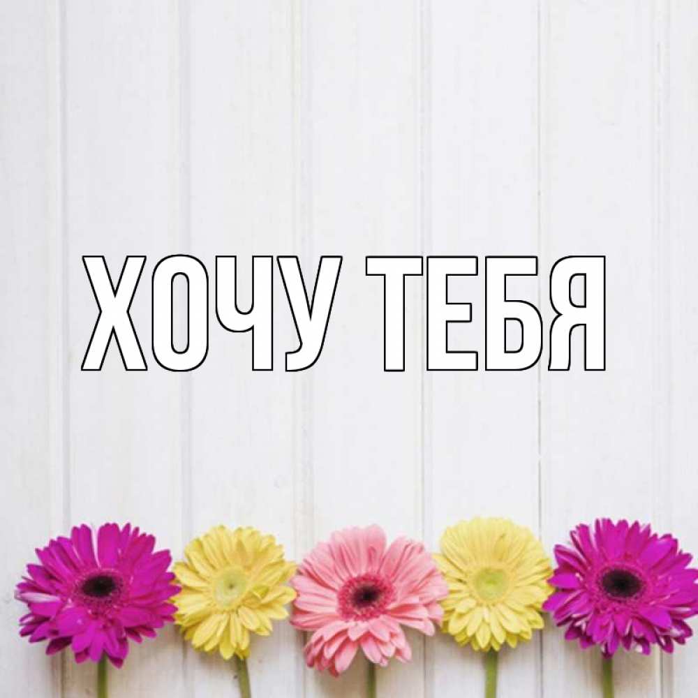 Открытка на каждый день с именем, Хочу-тебя Главная красный желтый и розовый цветок Прикольная открытка с пожеланием онлайн скачать бесплатно 