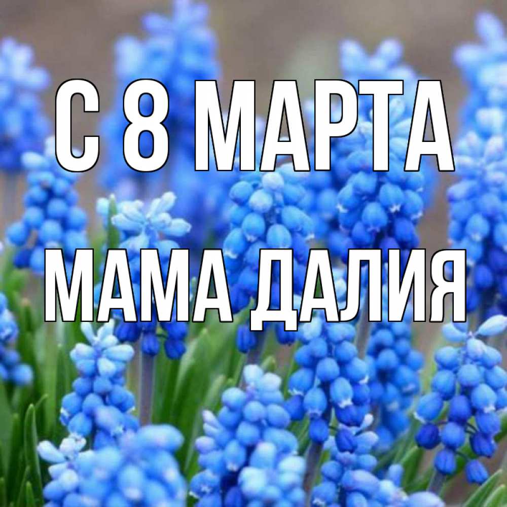 Картинка С 8 марта, Мама Далия