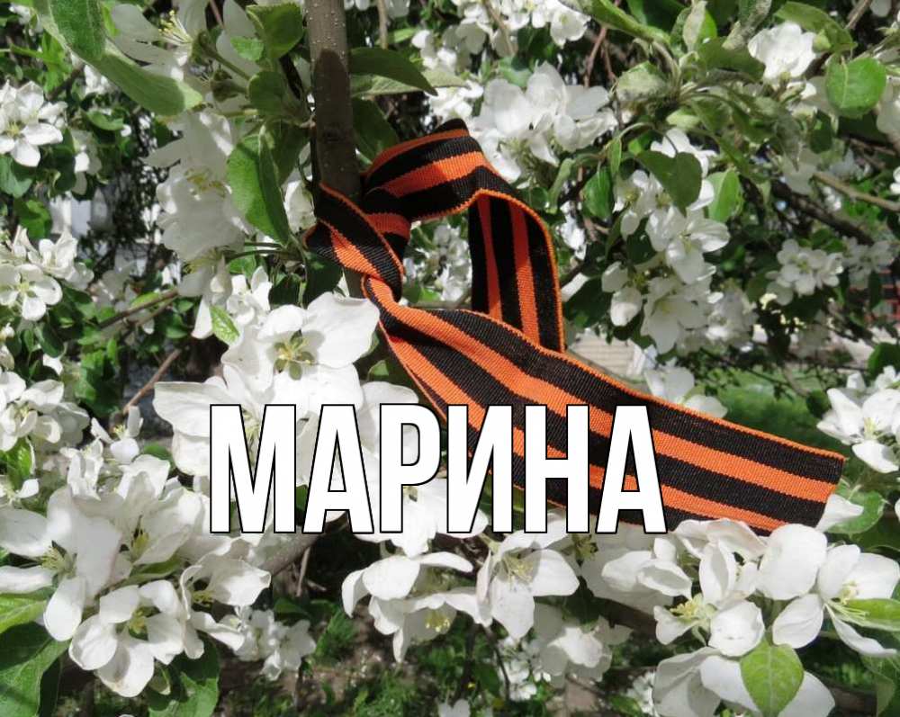 Открытка на каждый день с именем, Марина Главная 9 мая Прикольная открытка с пожеланием онлайн скачать бесплатно 