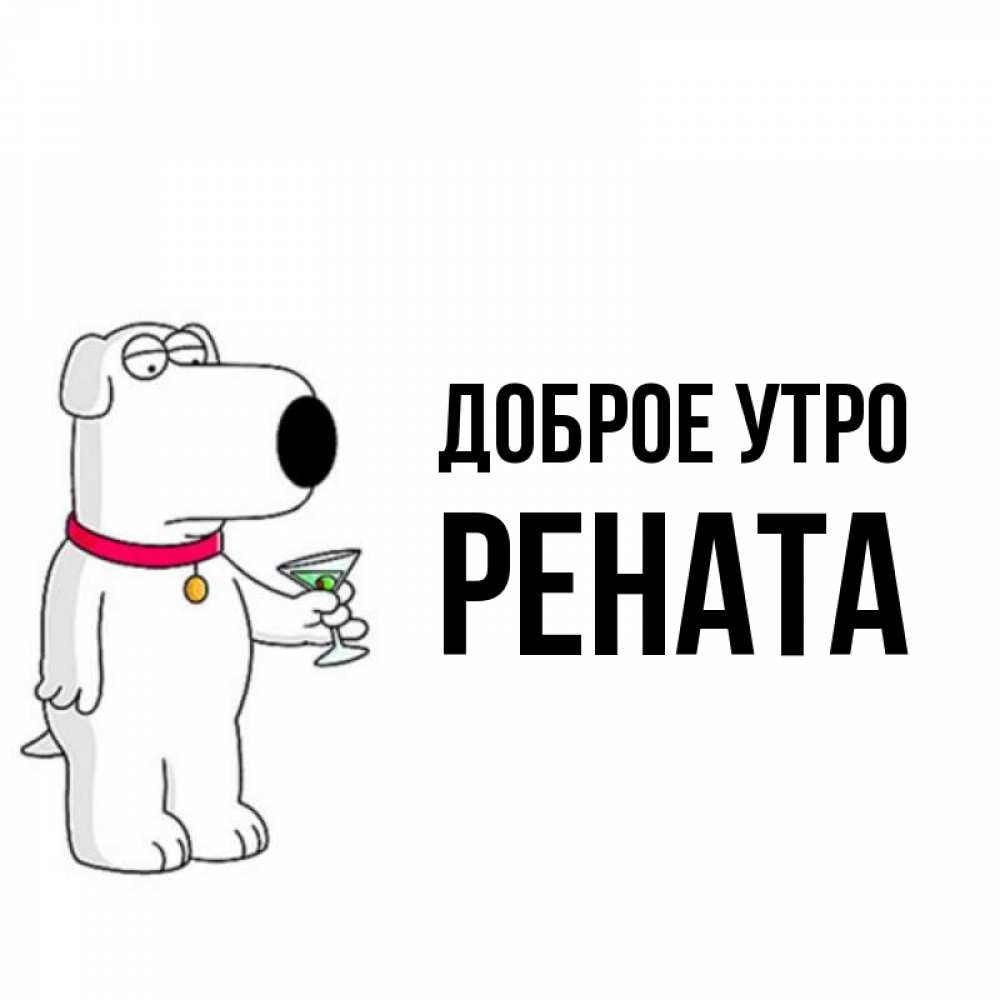 Открытка на каждый день с именем, Рената Доброе утро герои мультфильмов белый пес Прикольная открытка с пожеланием онлайн скачать бесплатно 