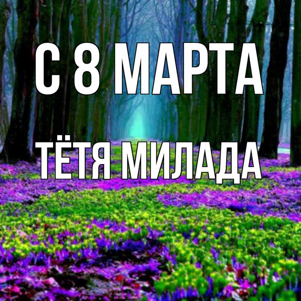 Открытка на каждый день с именем, Тётя-Милада С 8 МАРТА фиолетовые цветы в лесу 1 Прикольная открытка с пожеланием онлайн скачать бесплатно 
