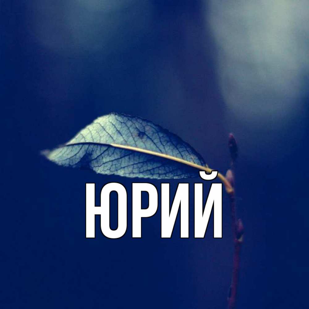 Веселые картинки, картинки с именем юрий