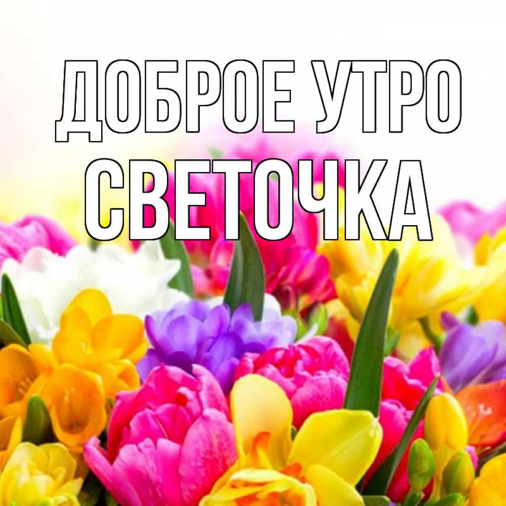 Доброе утро светочка прикольные картинки