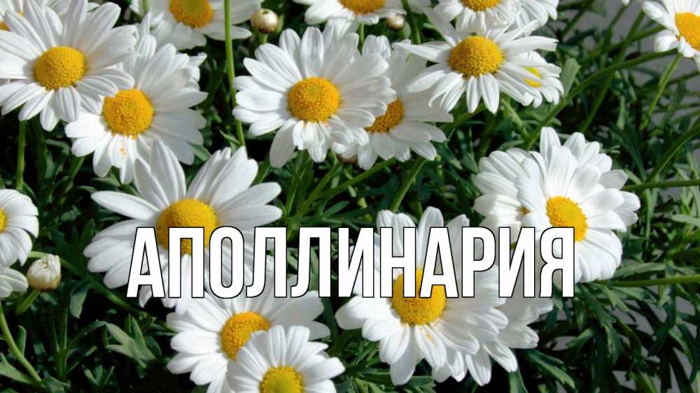 Открытка на каждый день с именем, Аполлинария Главная с днем семьи Прикольная открытка с пожеланием онлайн скачать бесплатно 