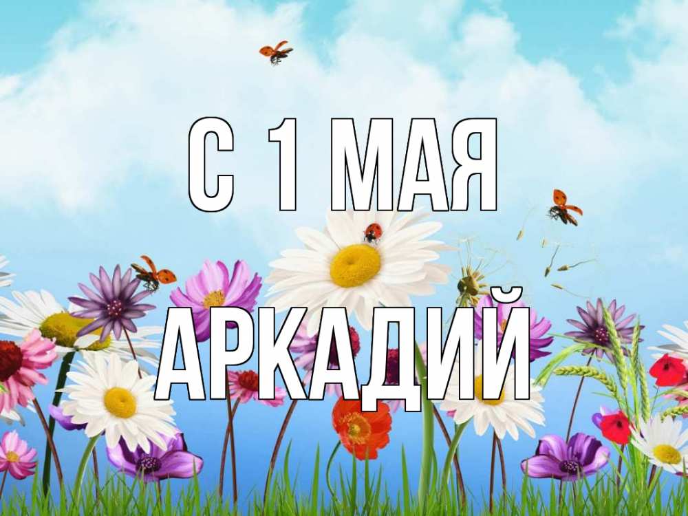 Открытка на каждый день с именем, Аркадий С 1 мая С 1 мая Прикольная открытка с пожеланием онлайн скачать бесплатно 