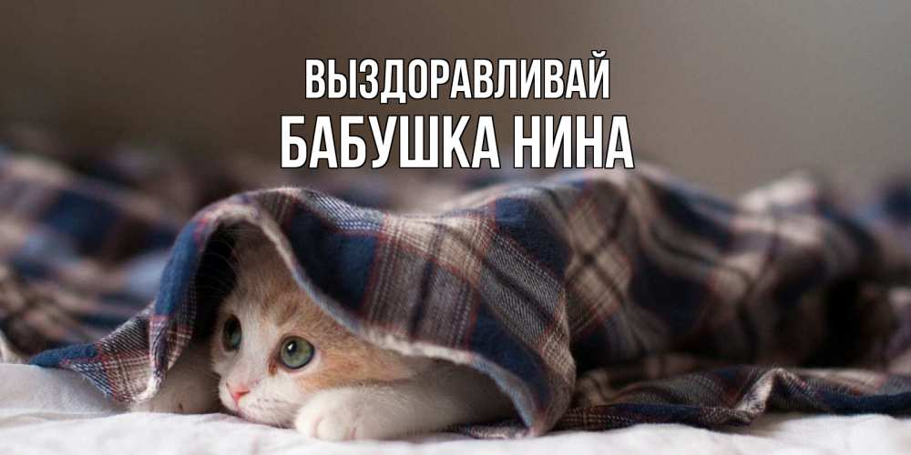 Открытка на каждый день с именем, Бабушка-Нина Выздоравливай не болейте с котиком Прикольная открытка с пожеланием онлайн скачать бесплатно 