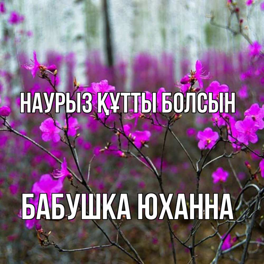 Открытка на каждый день с именем, Бабушка-Юханна Наурыз құтты болсын дикие цветы Прикольная открытка с пожеланием онлайн скачать бесплатно 