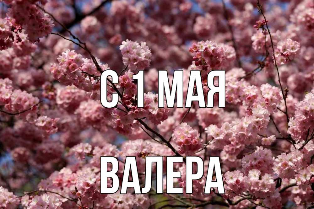Открытка на каждый день с именем, Валера С 1 мая С 1 мая Прикольная открытка с пожеланием онлайн скачать бесплатно 