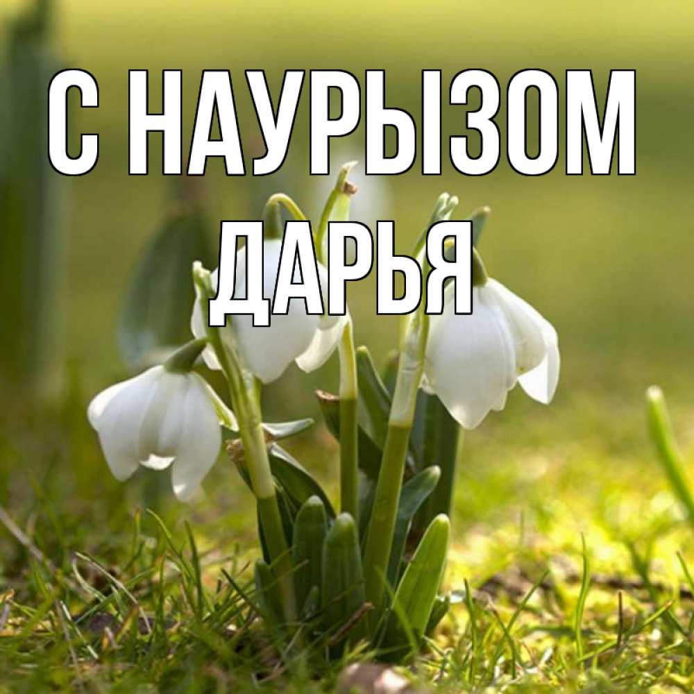 Открытка на каждый день с именем, Дарья С наурызом ранние цветы 2 Прикольная открытка с пожеланием онлайн скачать бесплатно 