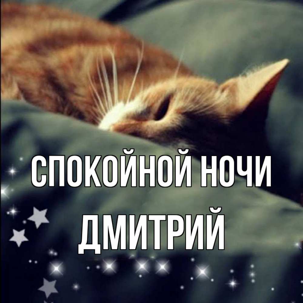 Открытка на каждый день с именем, Дмитрий Спокойной ночи кроватка Прикольная открытка с пожеланием онлайн скачать бесплатно 