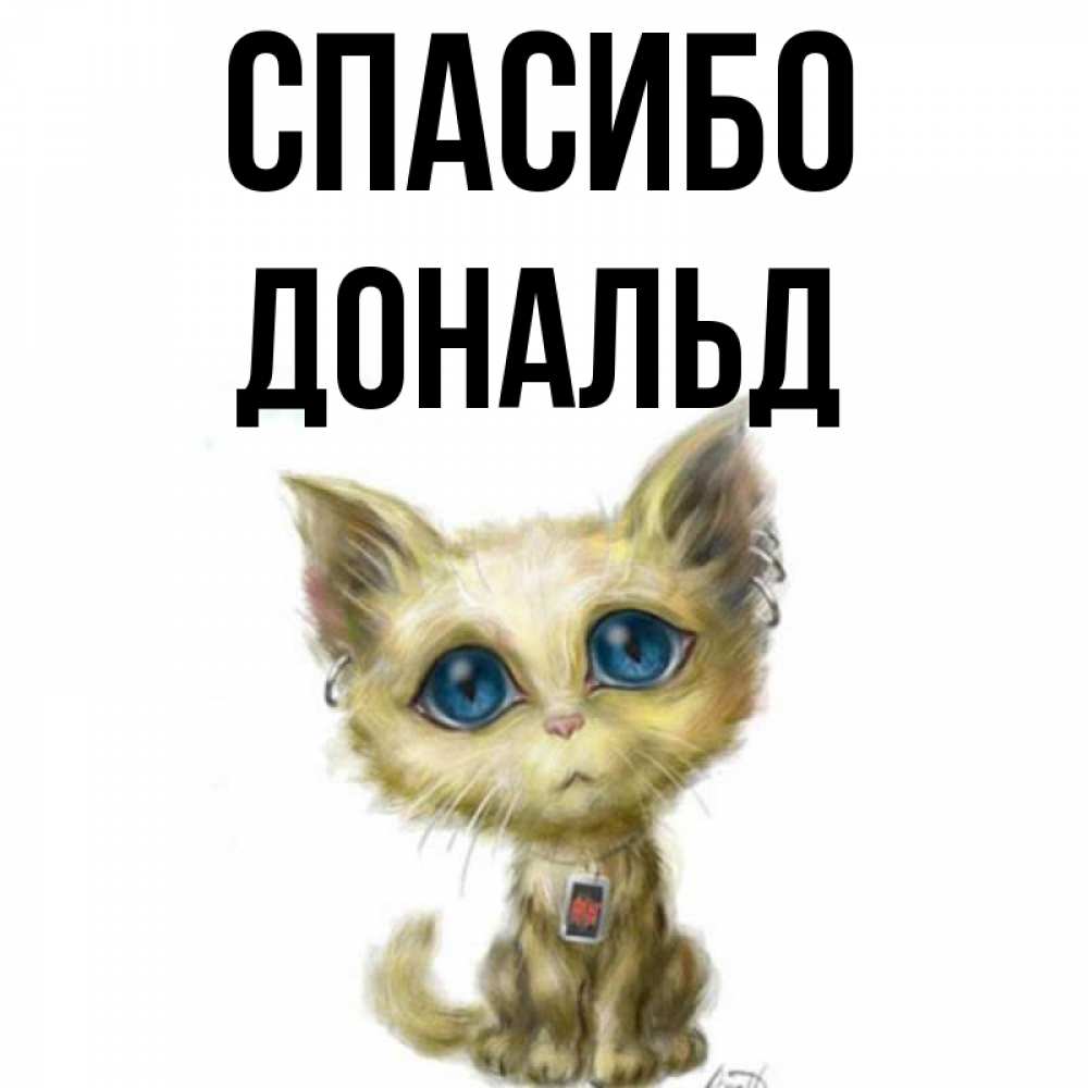 Открытка на каждый день с именем, Дональд Спасибо рисованный кот благодарит вас Прикольная открытка с пожеланием онлайн скачать бесплатно 