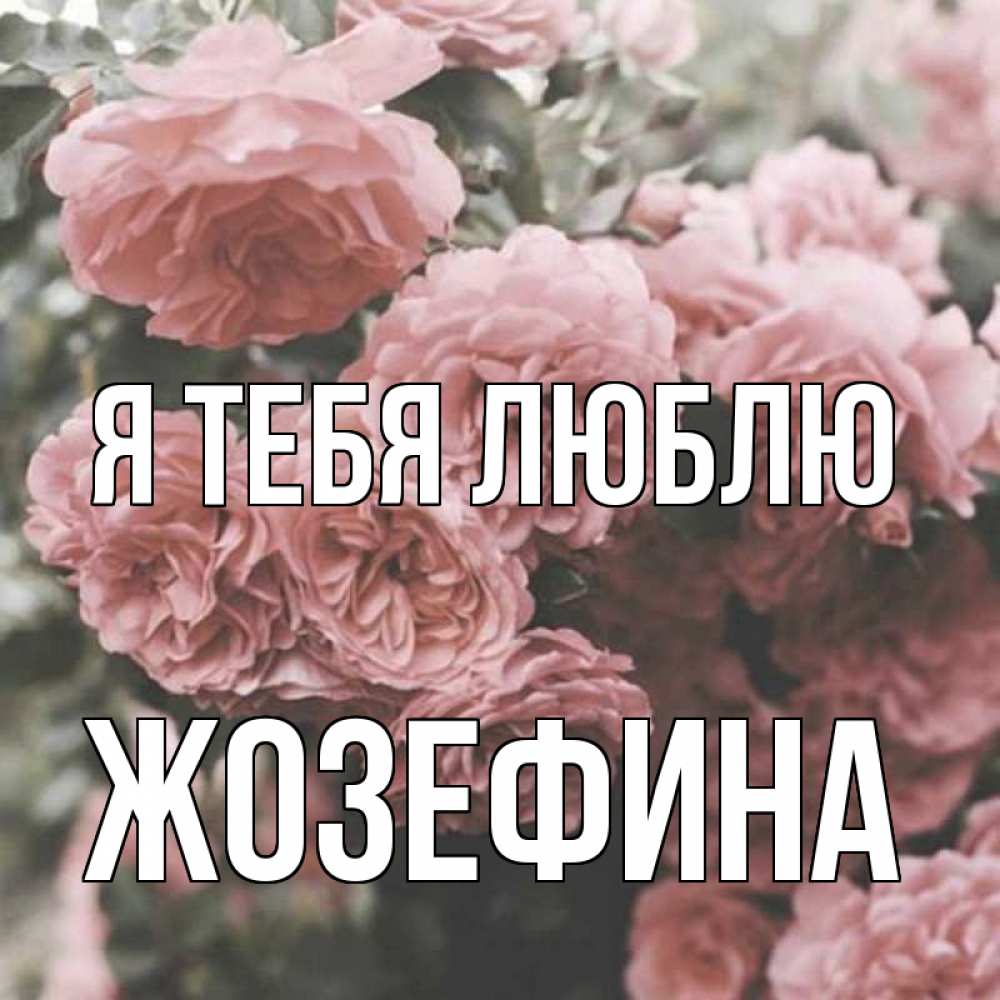 Открытка на каждый день с именем, Жозефина Я тебя люблю розы 3 Прикольная открытка с пожеланием онлайн скачать бесплатно 
