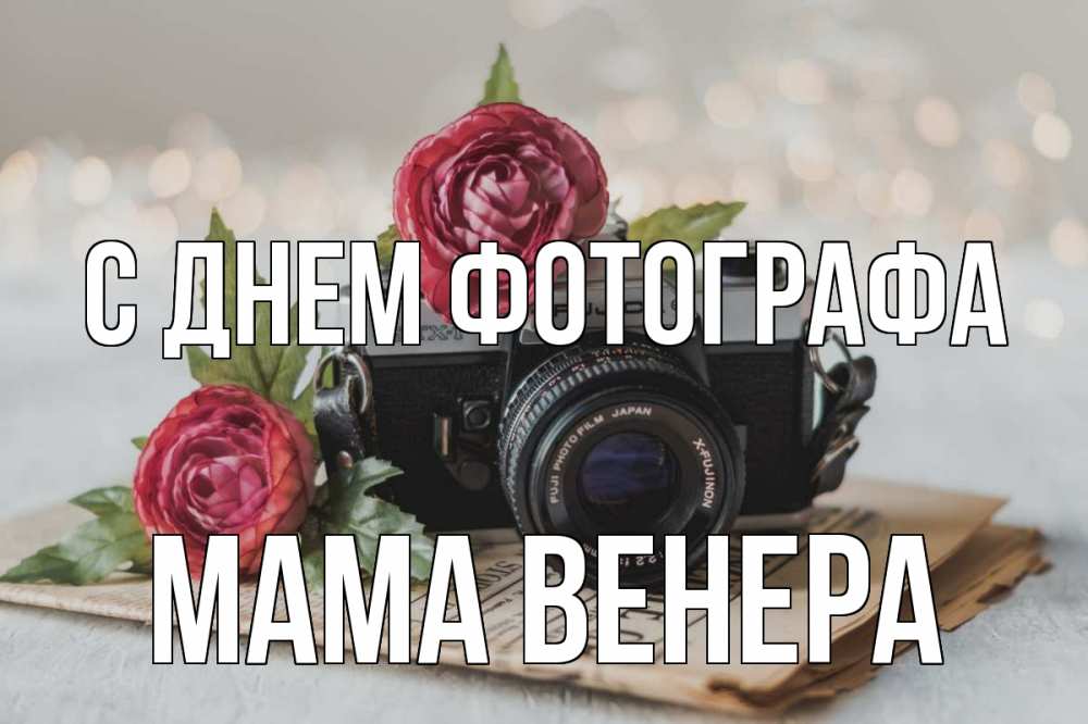 Открытка на каждый день с именем, Мама-Венера С днем фотографа с днем фотографа Прикольная открытка с пожеланием онлайн скачать бесплатно 