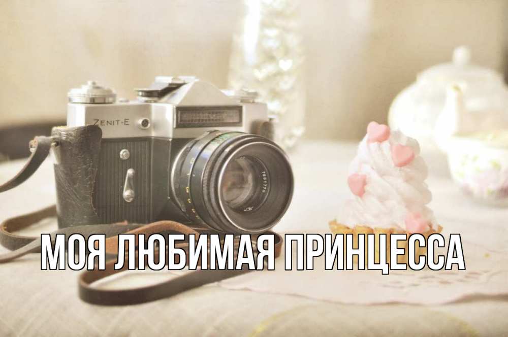 Открытка на каждый день с именем, Моя-Любимая-Принцесса Главная с днем фотографа Прикольная открытка с пожеланием онлайн скачать бесплатно 