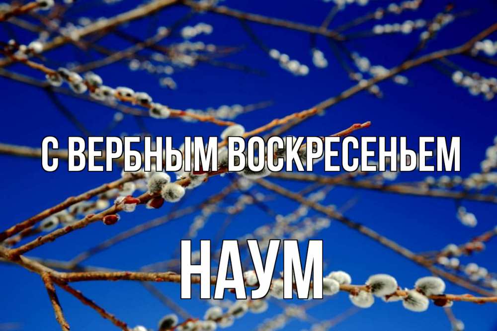 Открытка на каждый день с именем, Наум С вербным воскресеньем верба Прикольная открытка с пожеланием онлайн скачать бесплатно 