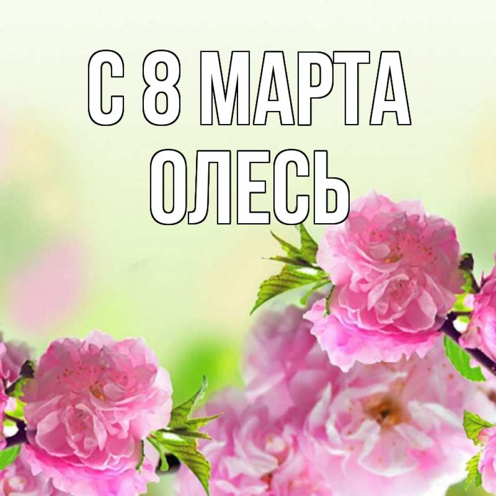 Открытка на каждый день с именем, Олесь С 8 МАРТА цветы Прикольная открытка с пожеланием онлайн скачать бесплатно 