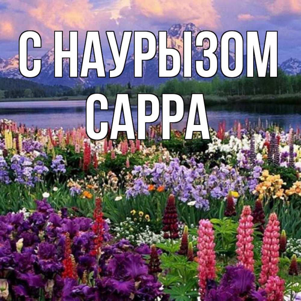 Открытка на каждый день с именем, Сарра С наурызом праздник весны наурыз Прикольная открытка с пожеланием онлайн скачать бесплатно 
