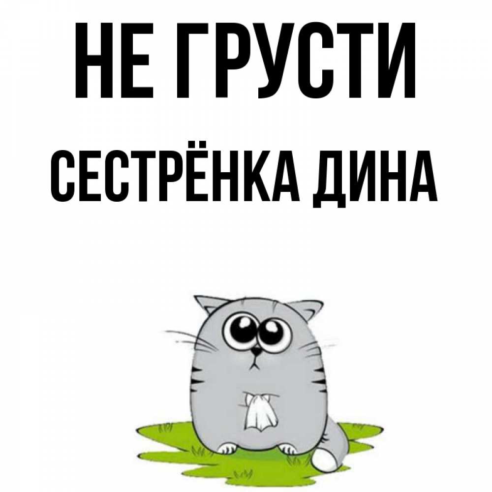 Открытка на каждый день с именем, Сестрёнка-Дина Не грусти грустный котяра Прикольная открытка с пожеланием онлайн скачать бесплатно 