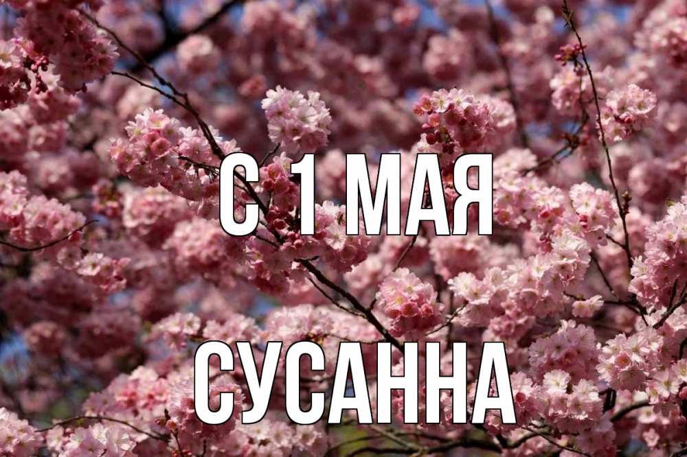Открытка на каждый день с именем, Сусанна С 1 мая С 1 мая Прикольная открытка с пожеланием онлайн скачать бесплатно 