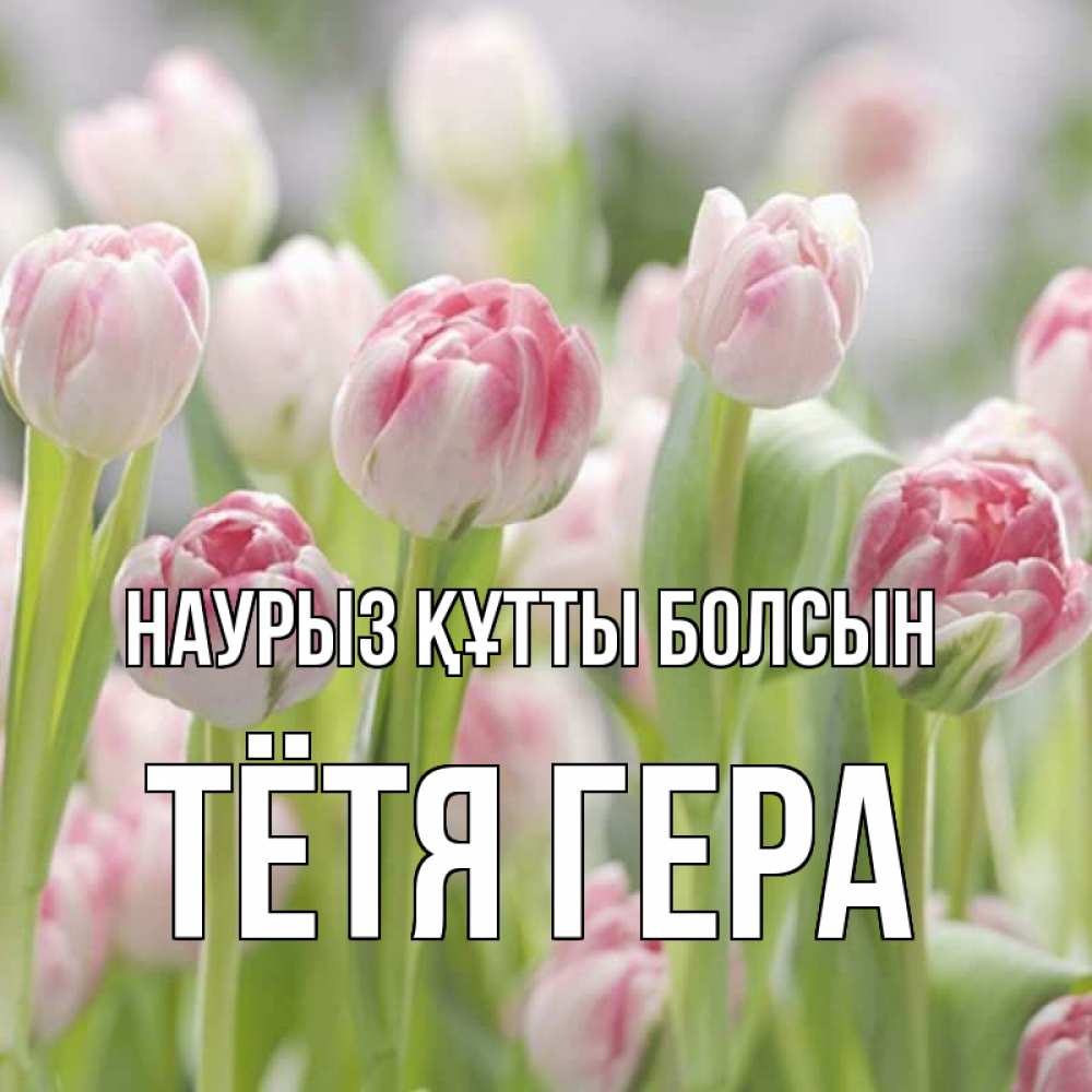 Открытка на каждый день с именем, Тётя-Гера Наурыз құтты болсын цветы Прикольная открытка с пожеланием онлайн скачать бесплатно 