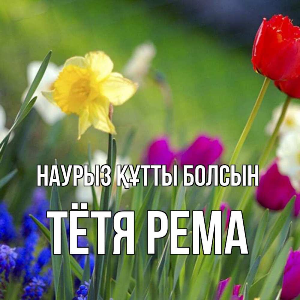 Открытка на каждый день с именем, Тётя-Рема Наурыз құтты болсын наурыз  3 открытки Прикольная открытка с пожеланием онлайн скачать бесплатно 