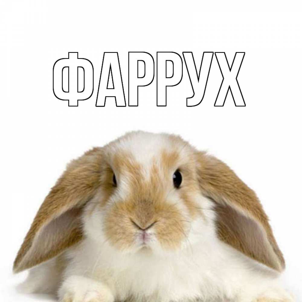 Открытка на каждый день с именем, Фаррух Главная прикольные открытки на каждый день Прикольная открытка с пожеланием онлайн скачать бесплатно 