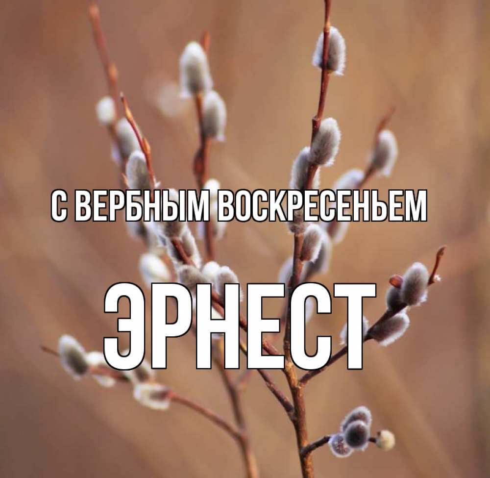 Открытка на каждый день с именем, Эрнест С вербным воскресеньем верба Прикольная открытка с пожеланием онлайн скачать бесплатно 