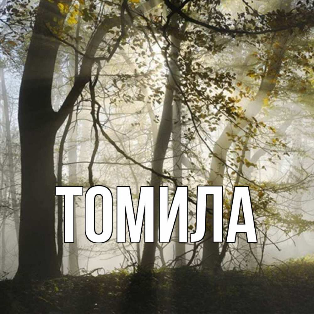 Тамила картинки с именем. Тамила картинки с именем. Томило имя. Томило имя. Томило имя.