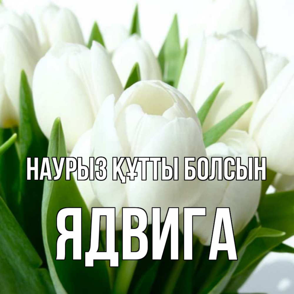 Открытка на каждый день с именем, Ядвига Наурыз құтты болсын цветы Прикольная открытка с пожеланием онлайн скачать бесплатно 