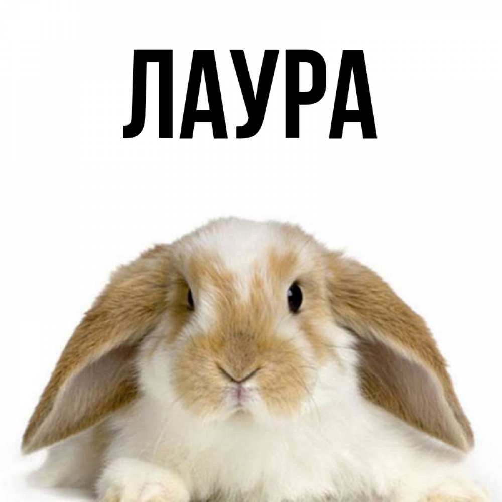 Картинка  с именем , Лаура
