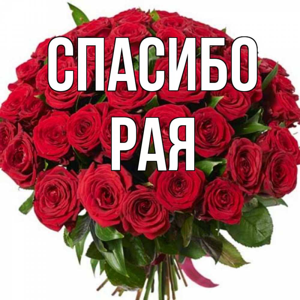 Полное имя рай. Рая надпись. Букет роз спасибо. Открытки с именем рая. Спасибо рая открытки.