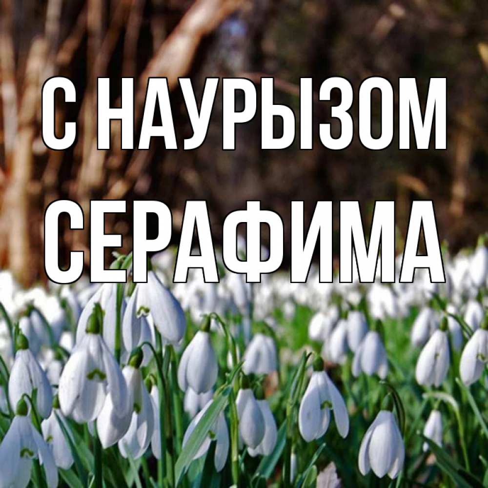 Открытка на каждый день с именем, Серафима С наурызом с подснежниками 1 Прикольная открытка с пожеланием онлайн скачать бесплатно 