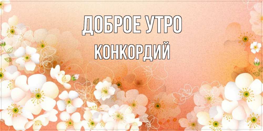 Открытка на каждый день с именем, Конкордий Доброе утро доброе утро с цветами Прикольная открытка с пожеланием онлайн скачать бесплатно 