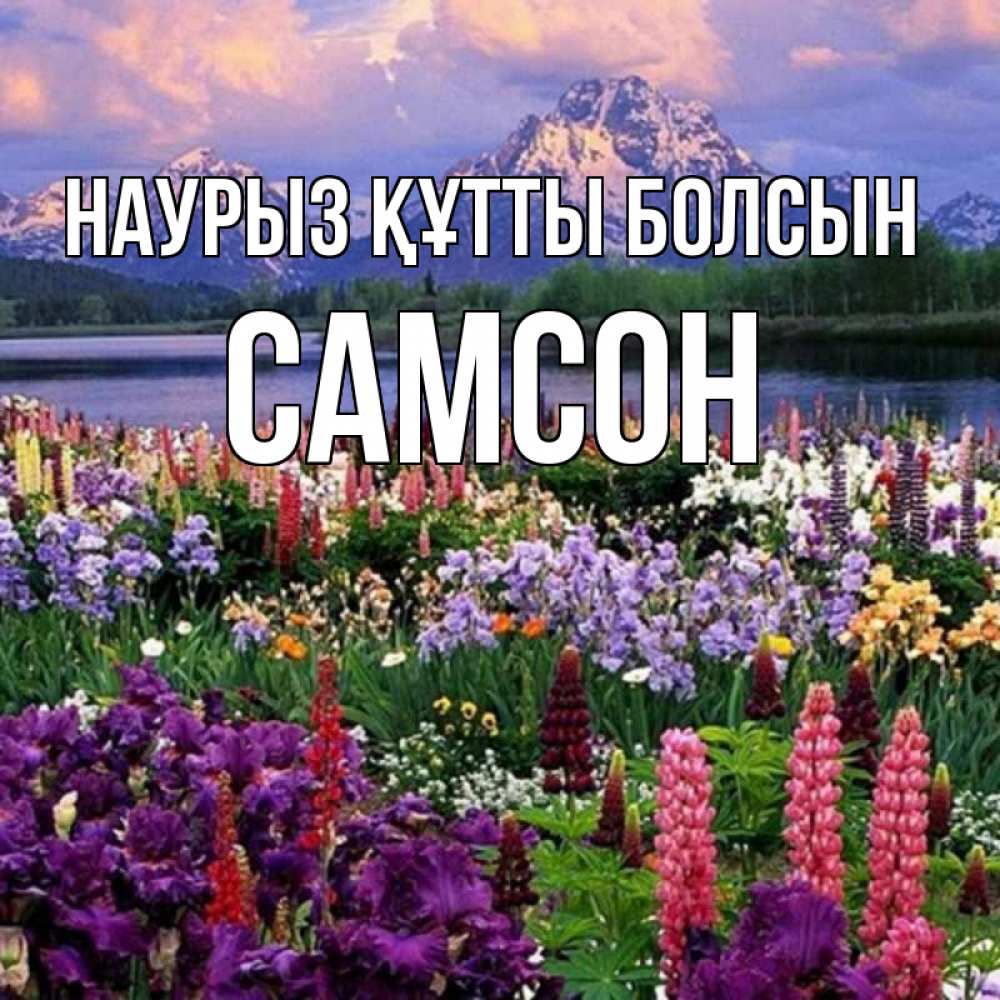Открытка на каждый день с именем, Самсон Наурыз құтты болсын наурыз Прикольная открытка с пожеланием онлайн скачать бесплатно 