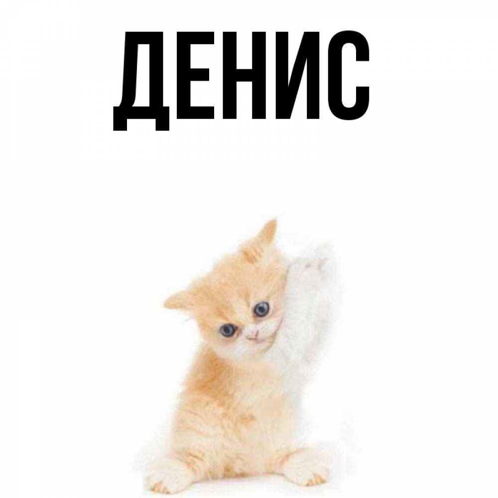 Оформление внутри, денис картинки с надписью