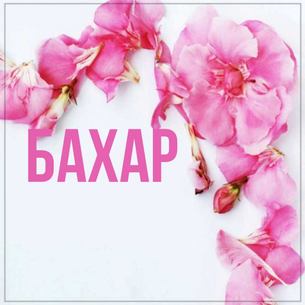 Открытка на каждый день с именем, Бахар Главная Красивая открытка для поздравления с днем рождения Прикольная открытка с пожеланием онлайн скачать бесплатно 