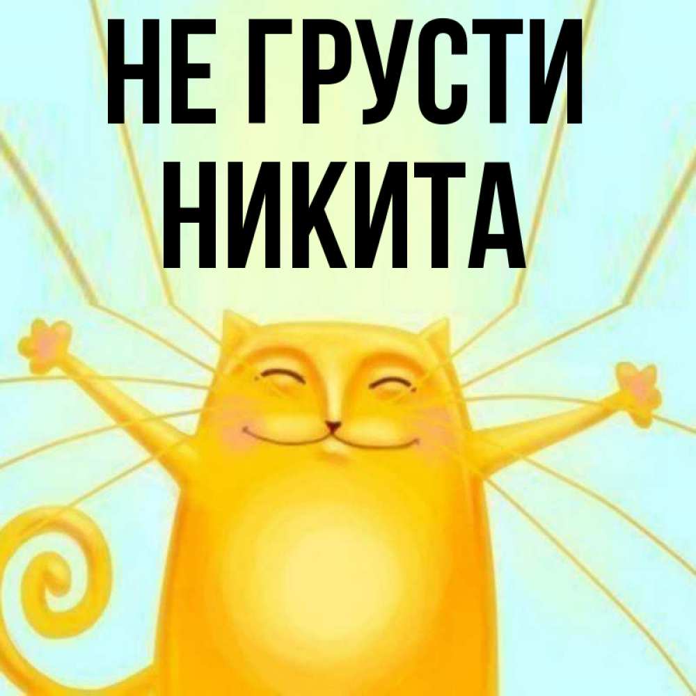 Не никитулька