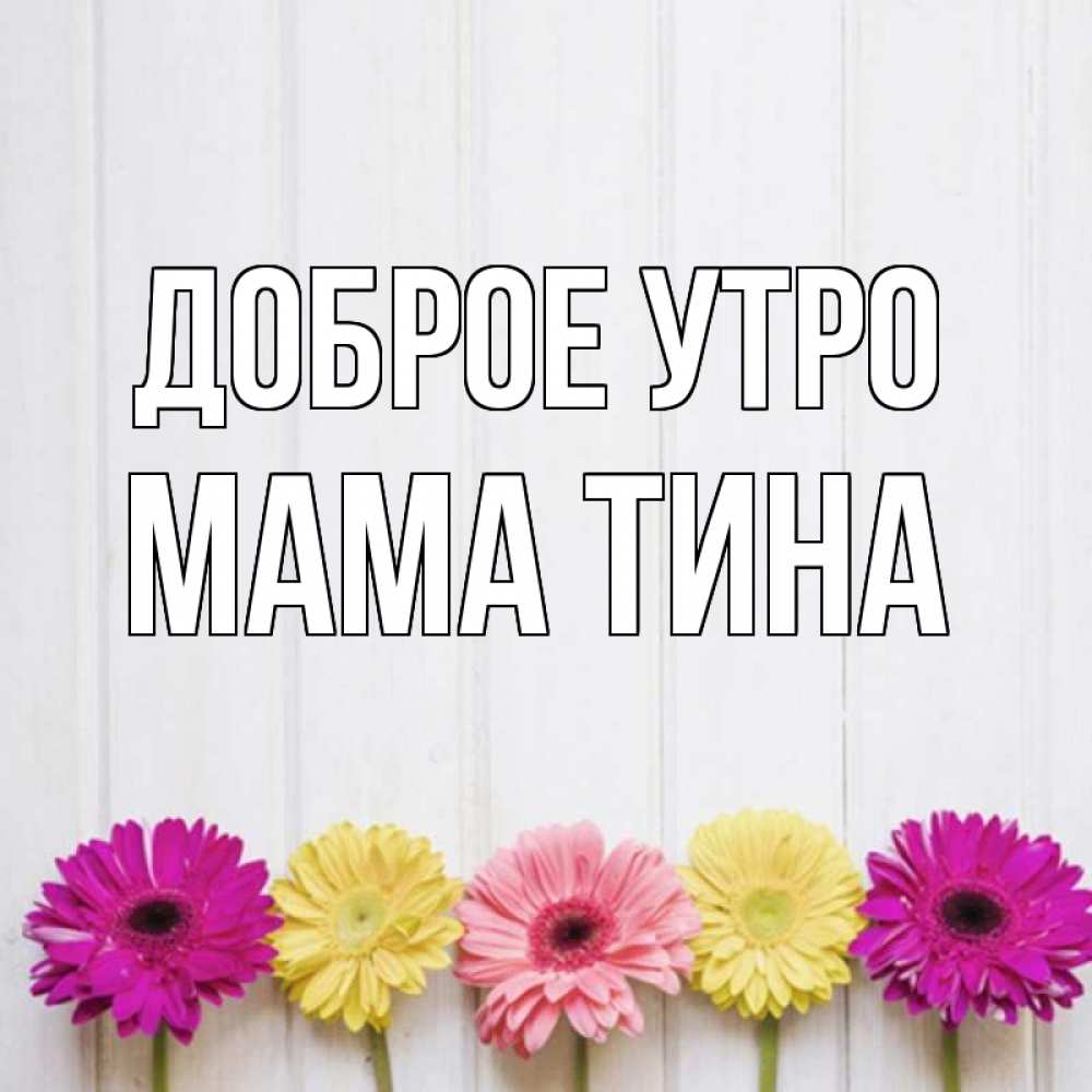 Открытка на каждый день с именем, Мама-Тина Доброе утро красный желтый и розовый цветок Прикольная открытка с пожеланием онлайн скачать бесплатно 