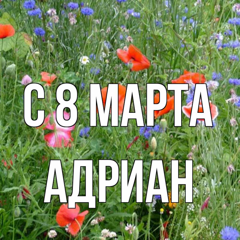 Открытка на каждый день с именем, Адриан С 8 МАРТА международный женский день 4 Прикольная открытка с пожеланием онлайн скачать бесплатно 