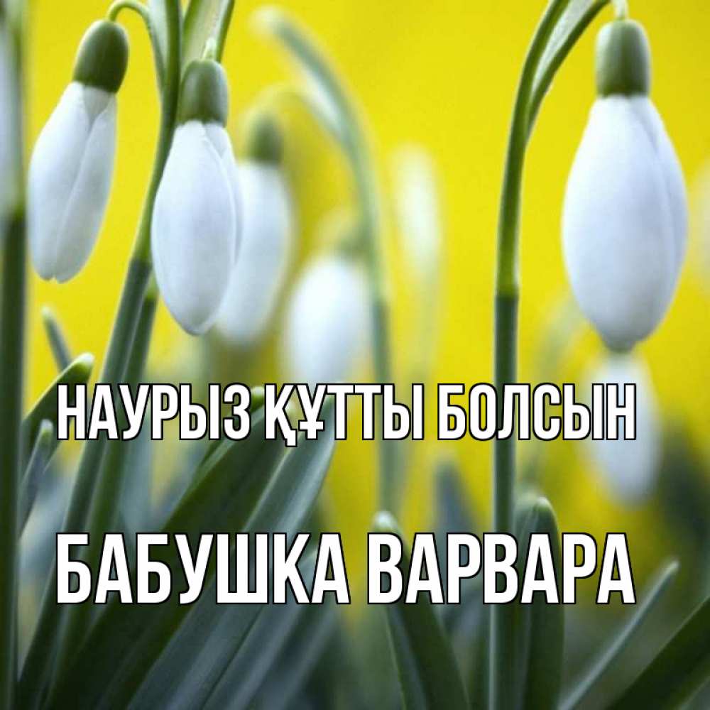 Открытка на каждый день с именем, Бабушка-Варвара Наурыз құтты болсын весенние цветы Прикольная открытка с пожеланием онлайн скачать бесплатно 