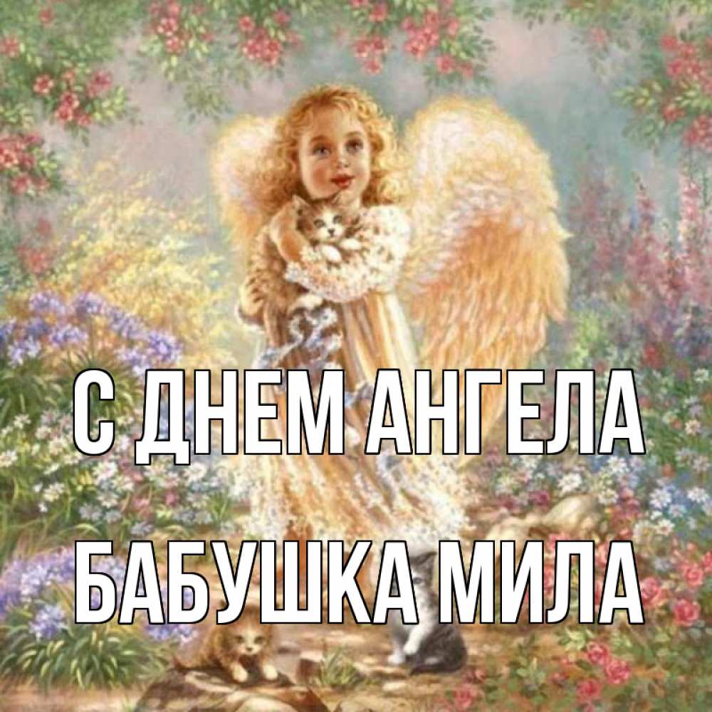 Открытка на каждый день с именем, Бабушка-Мила С днем ангела держит котенка Прикольная открытка с пожеланием онлайн скачать бесплатно 