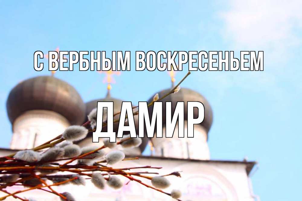 Открытка на каждый день с именем, Дамир С вербным воскресеньем верба Прикольная открытка с пожеланием онлайн скачать бесплатно 