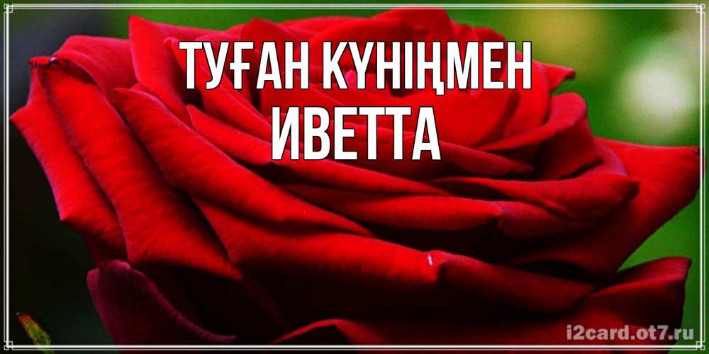 Открытка на каждый день с именем, Иветта Туған күніңмен розочка очень красивая Прикольная открытка с пожеланием онлайн скачать бесплатно 