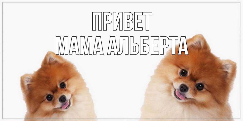 Открытка на каждый день с именем, Мама-Альберта Привет привет Прикольная открытка с пожеланием онлайн скачать бесплатно 