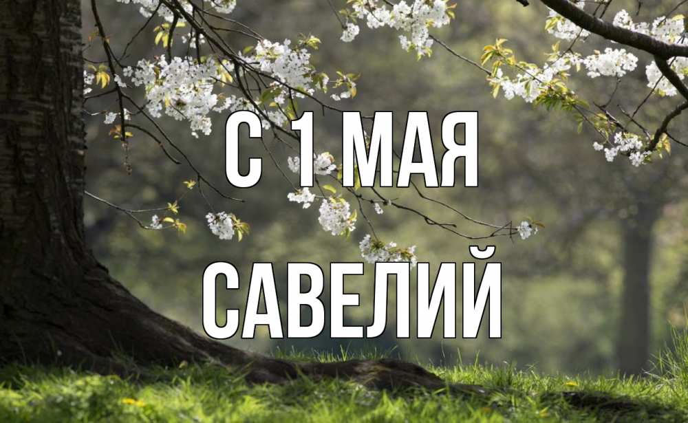 Открытка на каждый день с именем, Савелий С 1 мая С 1 мая Прикольная открытка с пожеланием онлайн скачать бесплатно 