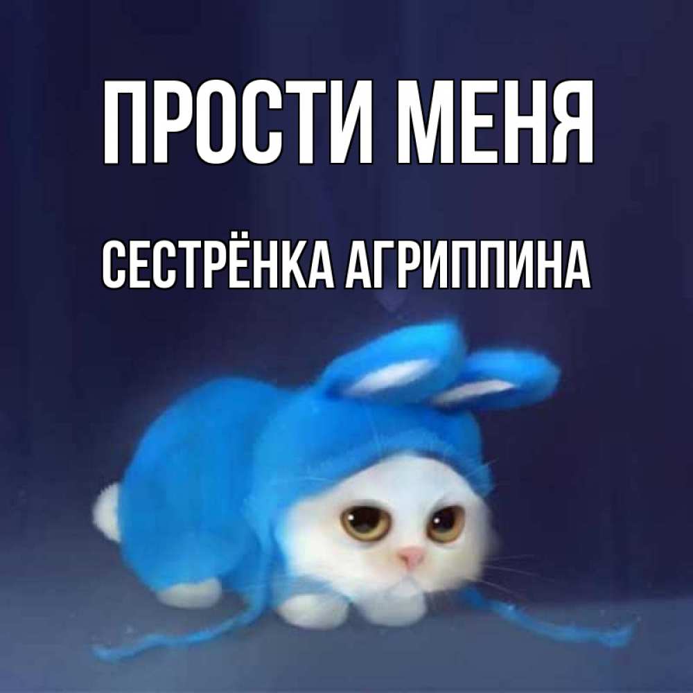 Открытка на каждый день с именем, Сестрёнка-Агриппина Прости меня невинный котозай просит прощения Прикольная открытка с пожеланием онлайн скачать бесплатно 