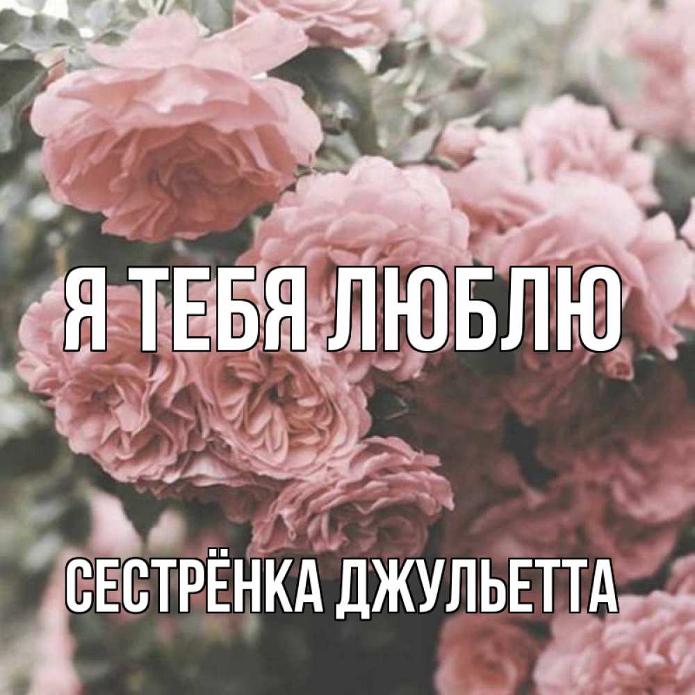 Открытка на каждый день с именем, Сестрёнка-Джульетта Я тебя люблю розы 3 Прикольная открытка с пожеланием онлайн скачать бесплатно 