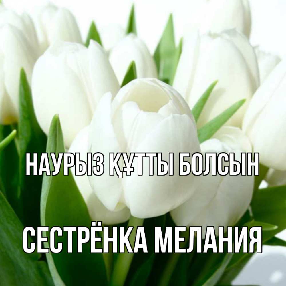 Открытка на каждый день с именем, Сестрёнка-Мелания Наурыз құтты болсын цветы Прикольная открытка с пожеланием онлайн скачать бесплатно 