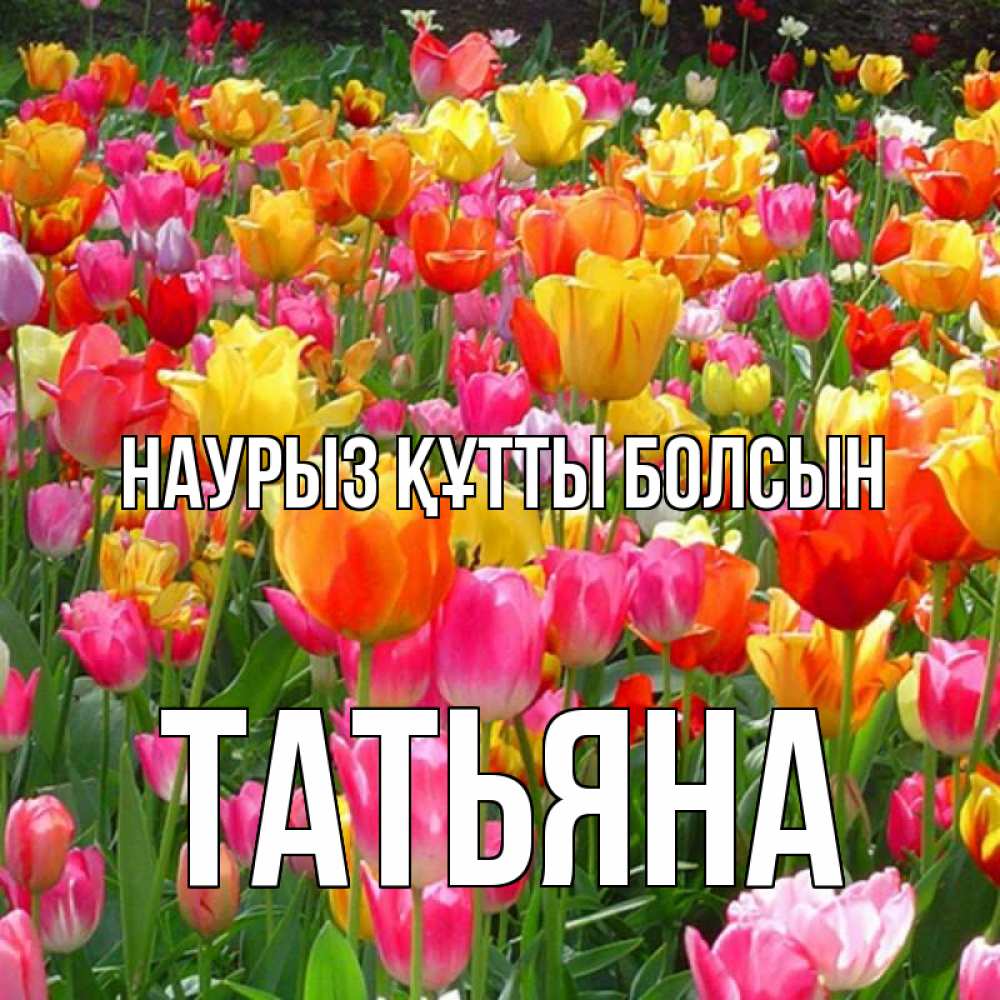 Открытка на каждый день с именем, Татьяна Наурыз құтты болсын на наурыз  ура ура Прикольная открытка с пожеланием онлайн скачать бесплатно 